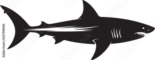 silhouette of a shark vector
