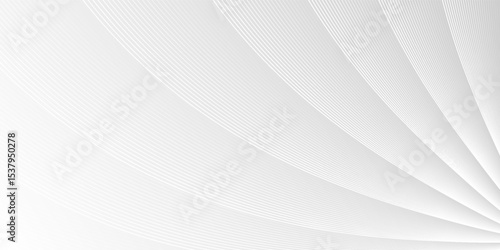Minimalist white abstract background with line ornament