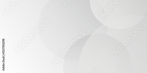 Minimalist white background with soft curves. The background is smooth and elegant, featuring a clean white color scheme. Minimal abstract gradient curve vector background