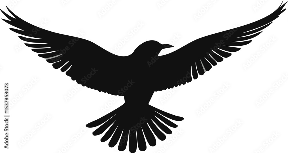 Obraz premium eagle in flight