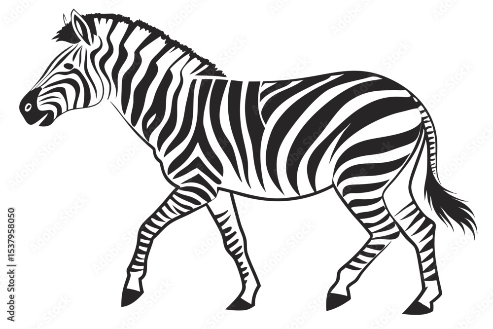 Obraz premium zebra silhoette black vector