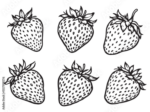 Strawberry Line Drawing Set