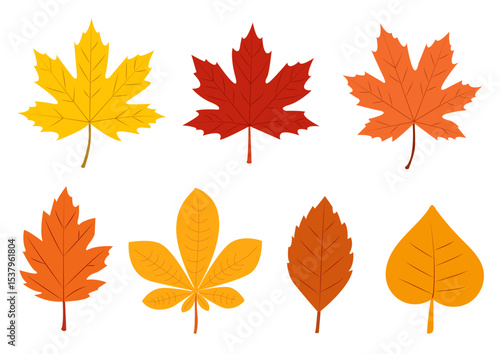 Colorful autumn leaves in various shapes and hues displayed against a clean background, capturing the essence of fall in nature