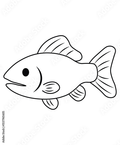 Tilapia Fish Outline Illustration