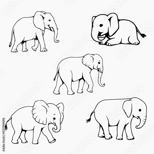 Photography set of elephants black and white
