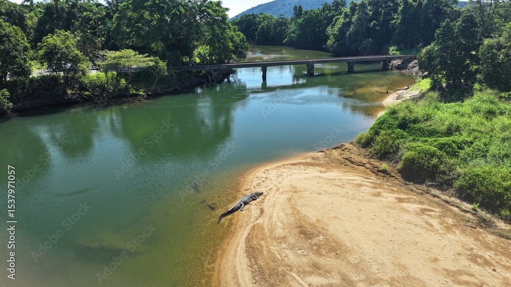 Fototapeta premium Wild large crocodile Australia relaxing on bank