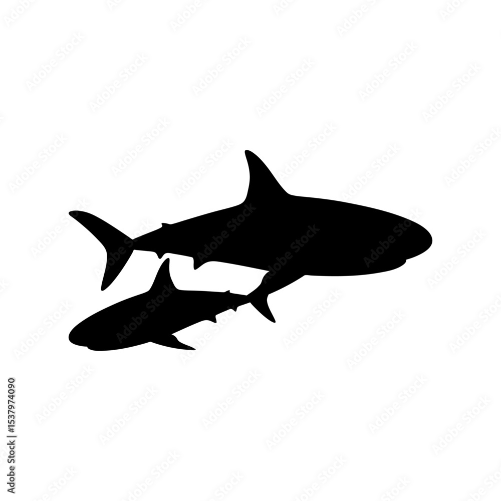 Fototapeta premium danger shark silhouette black isolated with white background. animal symbol. vector graphics