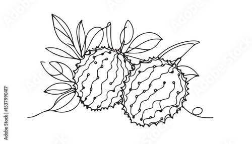 Continuous one single minimal line drawing Horned Melon 