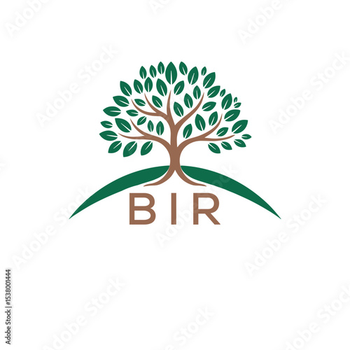 Initial BIR Letter Linked Logo for business and company identity. Modern BIR Letter Logo Vector Template with modern trendy golden logo.
