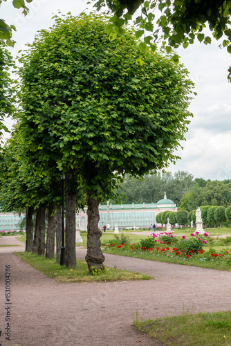 Картината върху платно Moscow, Kuskovo Park, summer