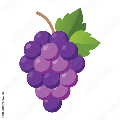 Grape fruits with leaf icon vector illustrtion