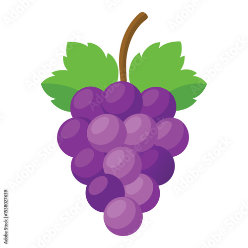 Grape fruits with leaf icon vector illustrtion