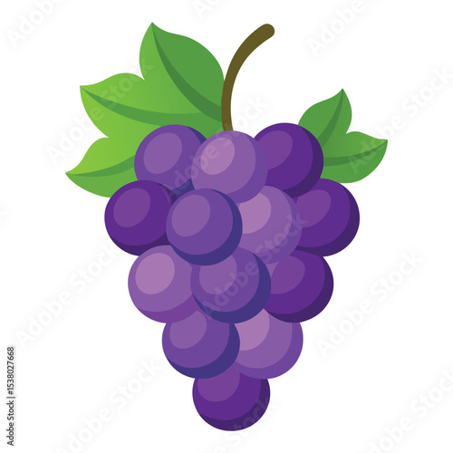 Grape fruits with leaf icon vector illustrtion