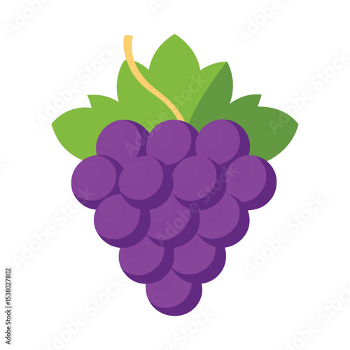 Grape fruits with leaf icon vector illustrtion