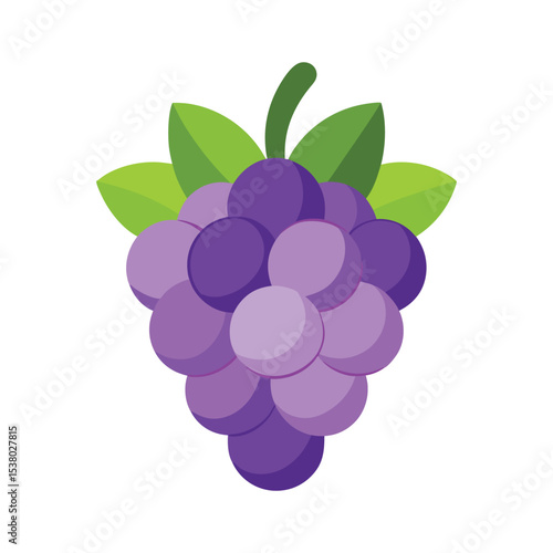 Grape fruits with leaf icon vector illustrtion