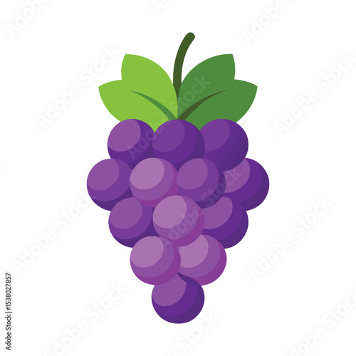 Grape fruits with leaf icon vector illustrtion