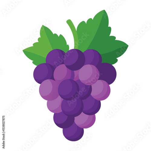 Grape fruits with leaf icon vector illustrtion