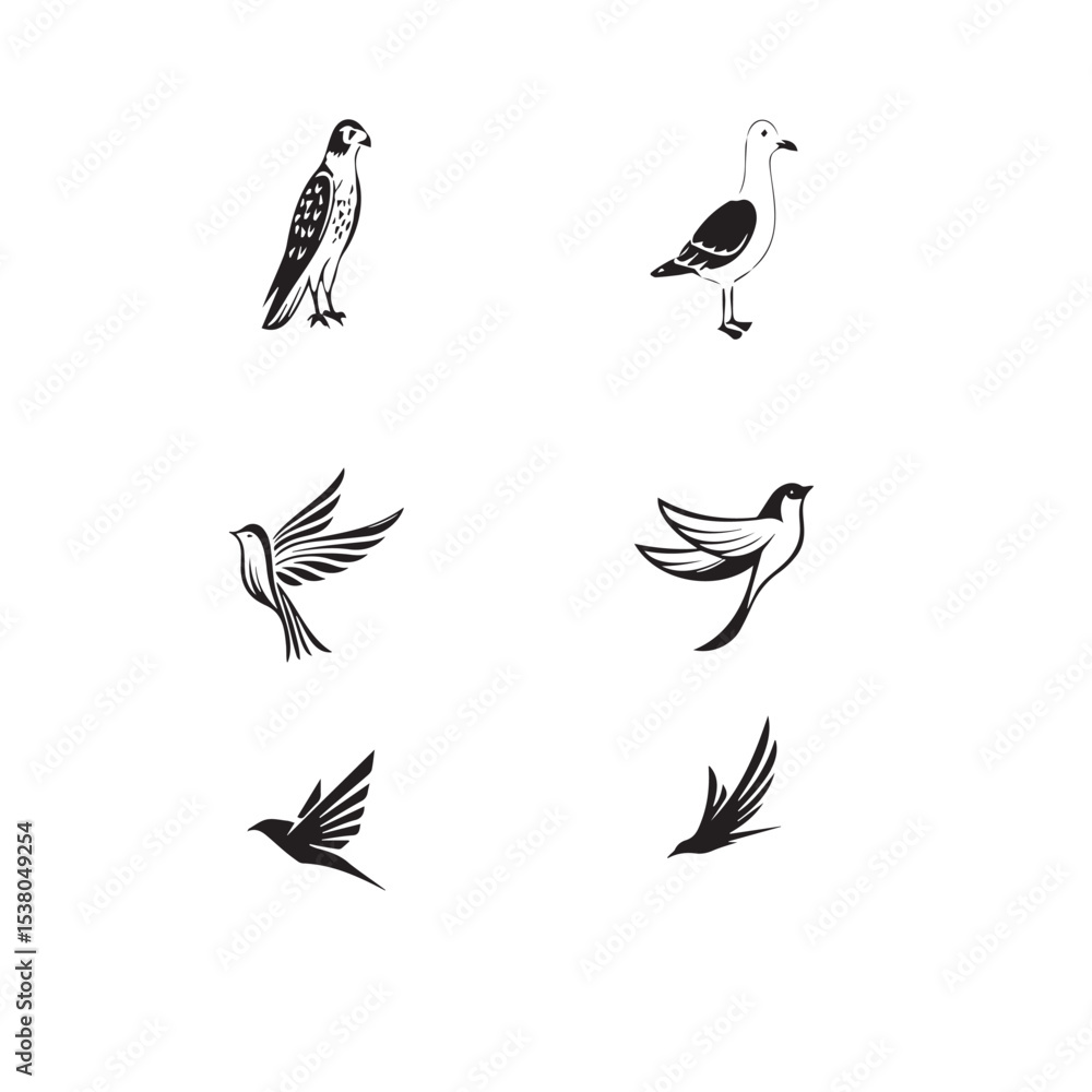 Fototapeta premium Black and white Birds Vector Set 