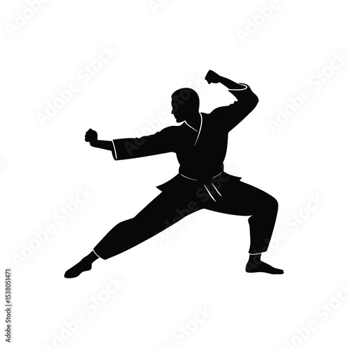 silhouette of a karate man
