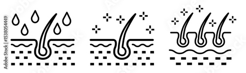 Healthy hair root care and hair loss prevention line vector illustration, 건강한 모근관리와 탈모예방 라인 벡터 일러스트