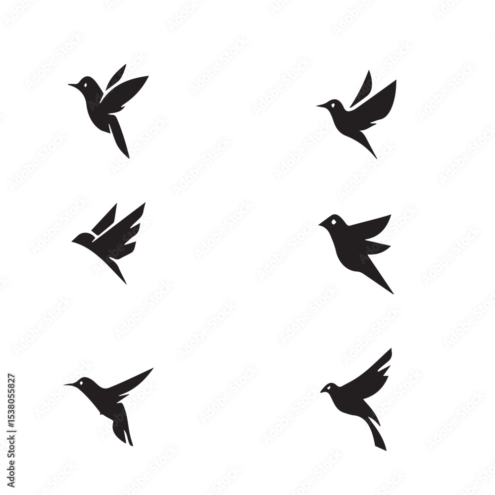 Fototapeta premium Black and white Cute Birds Set