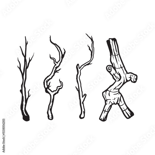 Hand drawn branch illustrations