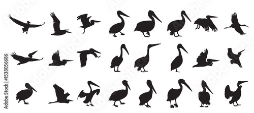 pelican bird silhouettes set