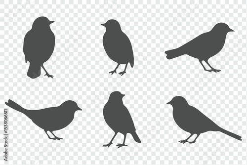 Set of bird silhouettes  in various poses isolated on transparent background.