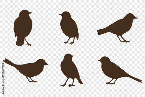 Set of bird silhouettes  in various poses isolated on transparent background.