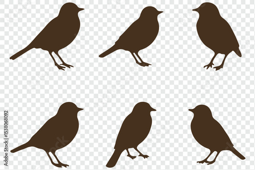 Set of bird silhouettes  in various poses isolated on transparent background.