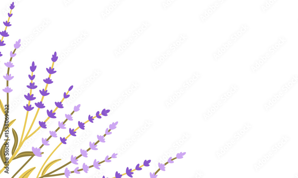 Fototapeta premium Frame of fresh flowers of purple lavender on white background. Hand drawn vector flat illustration . Perfect for decorative greeting or invitation card, logo or wedding design .