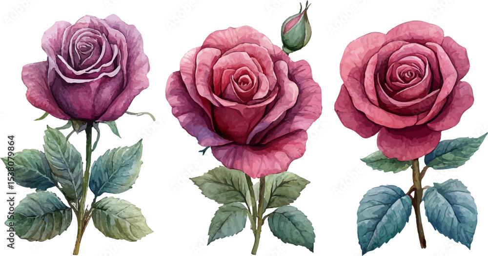 Fototapeta premium bouquet of pink roses