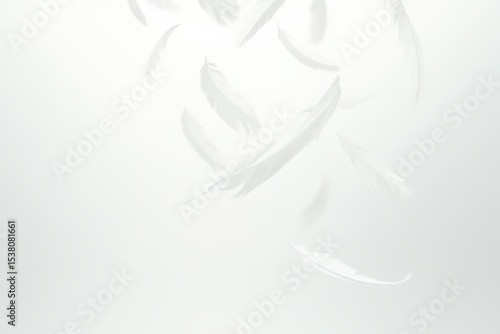 Abstract White Bird Feathers Falling in The Sky. Feathers Floating in Heavenly.
