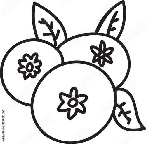 simple hand-drawn mangosteen
