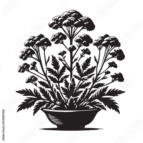 Black Tabbouleh Silhouette Vector, High Quality Illustration on White Background