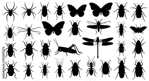 Silhouettes of Various Insects and Arachnids on Transparent Background