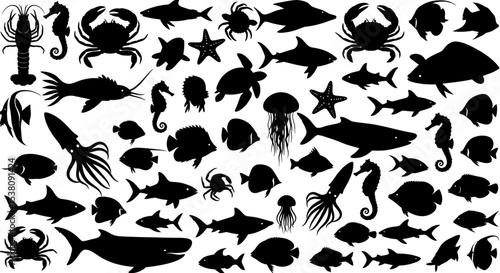 Diverse Collection of Black Silhouette Sea Creatures