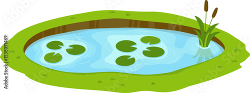 Pond Illustration