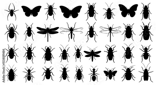 Diverse Insect Silhouettes Collection