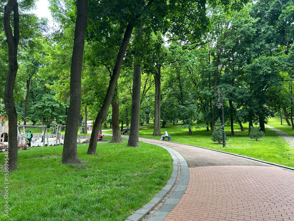 Obraz premium beautiful park and garden in the summer