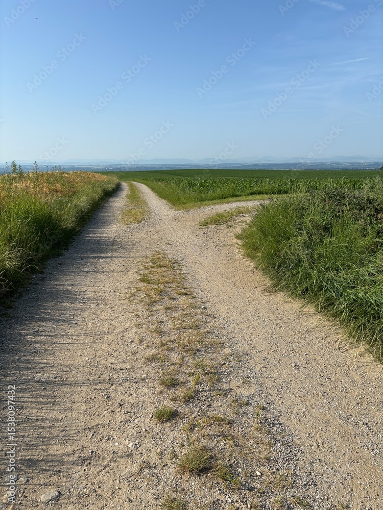 Obraz premium Entscheidungsweg, Feldweg