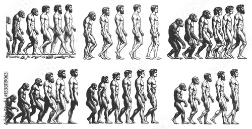 evolutionary sequences showing the progression from primates to modern humans Set collection bundle sketch engraving generative ai vector illustration. Scratch board imitation. Black and white image.