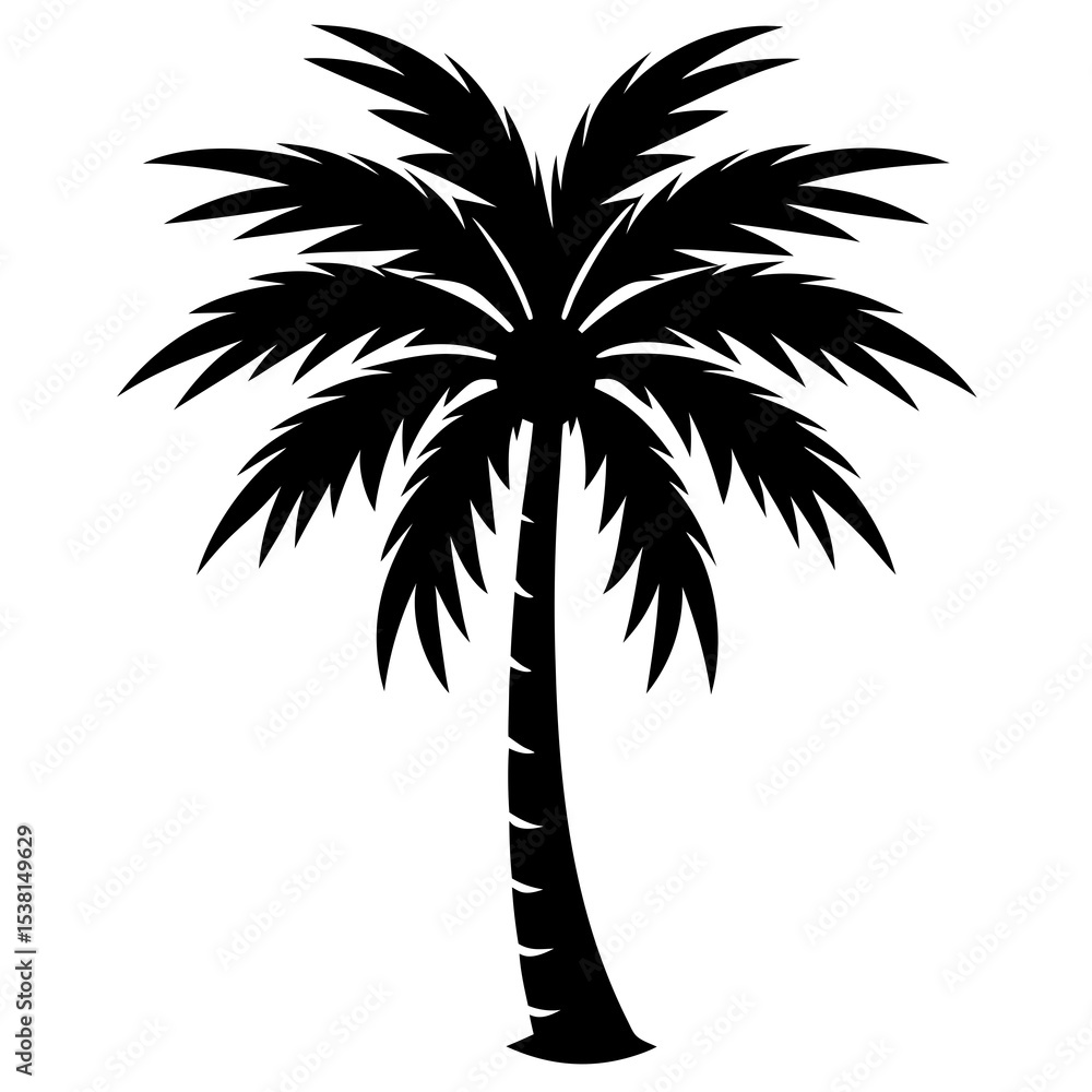Fototapeta premium silhouette of palm tree