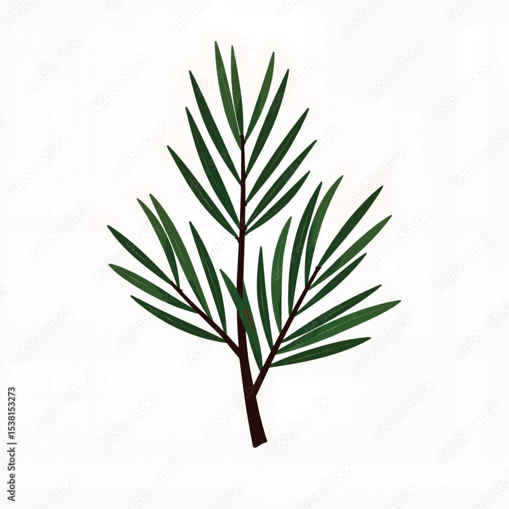 Naklejka premium Isolated fallen pine needle cluster on white background, nature's beauty