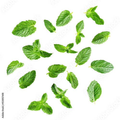 flying fresh mint leaves, Fresh mint leaves floating gracefully in the air against a soft, isolated on transparent background