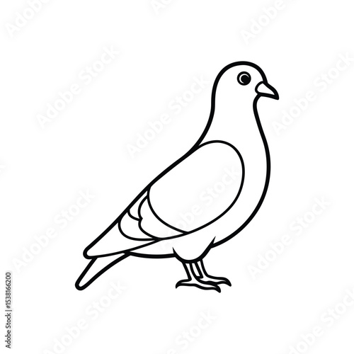 pigeon line art