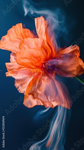 Orange Flower with Smoke Against Dark Background