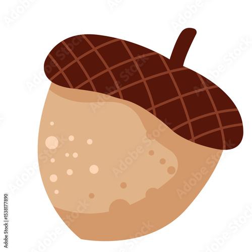 Flat Vector Illustration of a Brown Acorn with Textured Cap