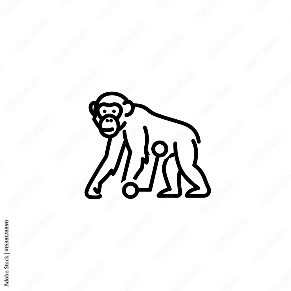 Fototapeta premium Abstract Chimpanzee Outline, Primate Mammal Simple Line Art Illustration for Creative Design Projects, Modern Graphic Animal Icon