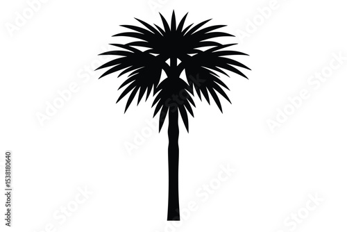 sabal palm vector icon